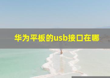 华为平板的usb接口在哪