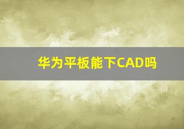 华为平板能下CAD吗