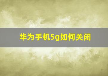 华为手机5g如何关闭