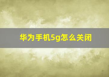 华为手机5g怎么关闭