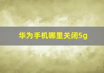 华为手机哪里关闭5g