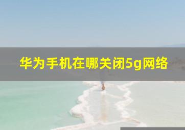 华为手机在哪关闭5g网络