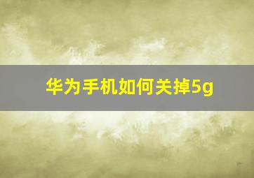 华为手机如何关掉5g