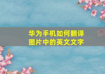 华为手机如何翻译图片中的英文文字