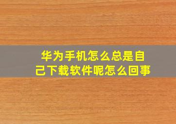 华为手机怎么总是自己下载软件呢怎么回事