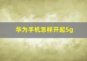 华为手机怎样开起5g