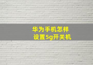 华为手机怎样设置5g开关机