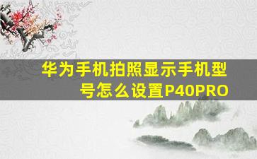 华为手机拍照显示手机型号怎么设置P40PRO