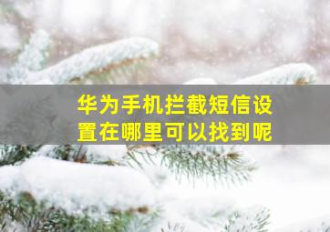 华为手机拦截短信设置在哪里可以找到呢