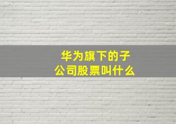 华为旗下的子公司股票叫什么