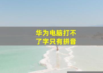 华为电脑打不了字只有拼音