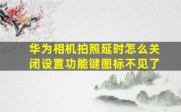 华为相机拍照延时怎么关闭设置功能键图标不见了