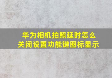 华为相机拍照延时怎么关闭设置功能键图标显示