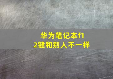 华为笔记本f12键和别人不一样