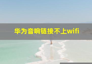 华为音响链接不上wifi