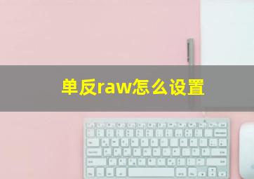 单反raw怎么设置