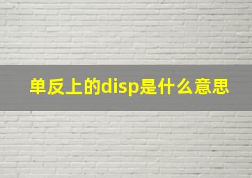 单反上的disp是什么意思