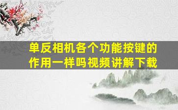 单反相机各个功能按键的作用一样吗视频讲解下载