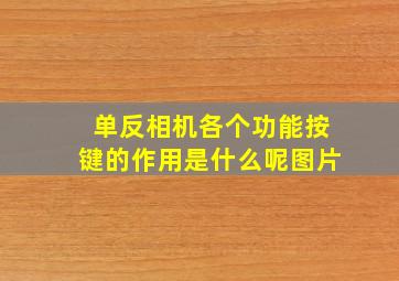 单反相机各个功能按键的作用是什么呢图片