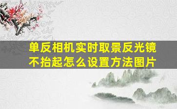 单反相机实时取景反光镜不抬起怎么设置方法图片