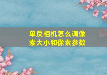 单反相机怎么调像素大小和像素参数