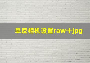 单反相机设置raw十jpg