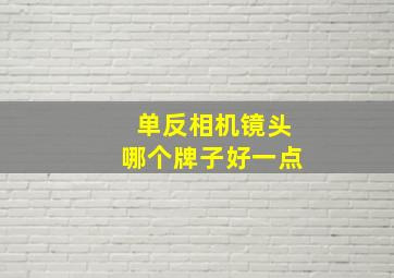 单反相机镜头哪个牌子好一点