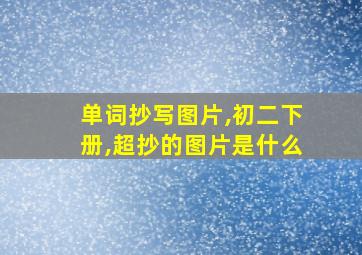 单词抄写图片,初二下册,超抄的图片是什么