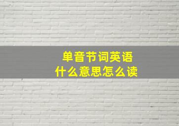 单音节词英语什么意思怎么读