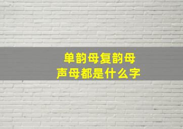 单韵母复韵母声母都是什么字