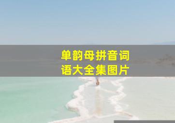 单韵母拼音词语大全集图片