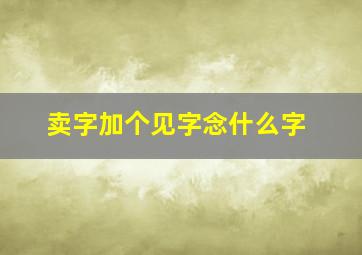 卖字加个见字念什么字