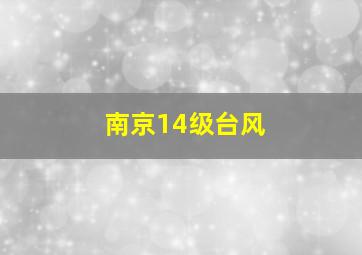 南京14级台风