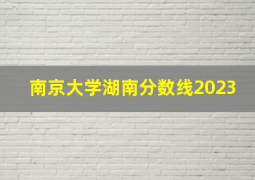 南京大学湖南分数线2023