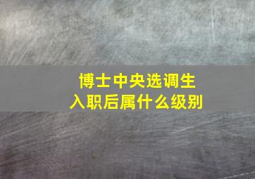 博士中央选调生入职后属什么级别