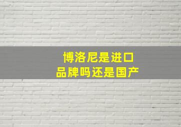 博洛尼是进口品牌吗还是国产