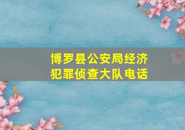 博罗县公安局经济犯罪侦查大队电话