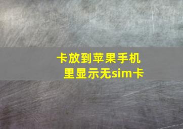 卡放到苹果手机里显示无sim卡