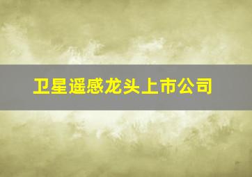 卫星遥感龙头上市公司