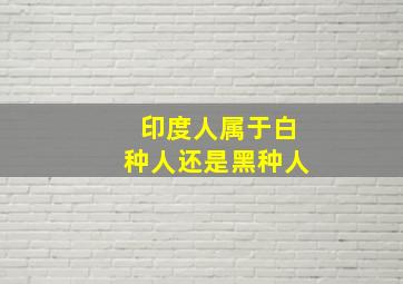 印度人属于白种人还是黑种人