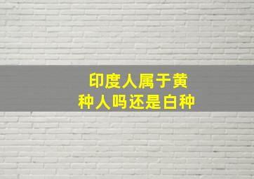 印度人属于黄种人吗还是白种