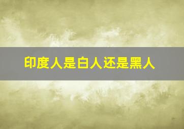 印度人是白人还是黑人