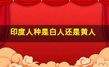 印度人种是白人还是黄人