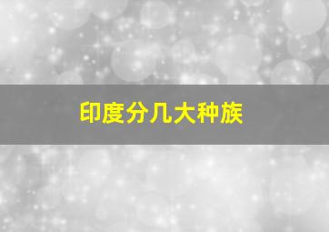 印度分几大种族