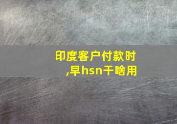 印度客户付款时,早hsn干啥用