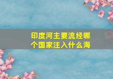 印度河主要流经哪个国家注入什么海