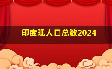 印度现人口总数2024