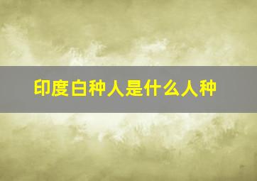 印度白种人是什么人种