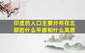 印度的人口主要分布在北部的什么平原和什么高原