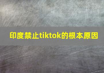 印度禁止tiktok的根本原因